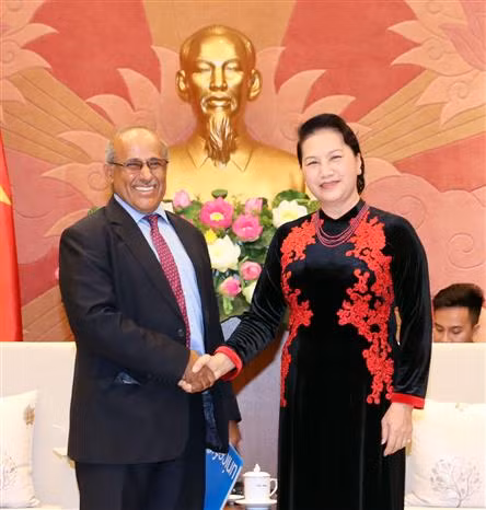  La présidente de l’AN reçoit les représentants du PNUD et de l’UNICEF ảnh 2