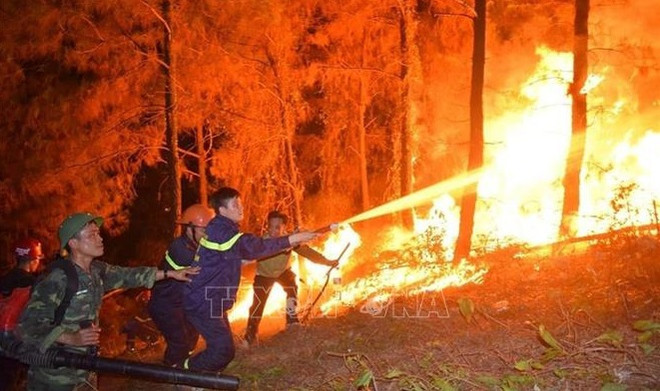 Dépêche officielle sur le renforcement des mesures d'urgence contre les incendies de forêt ảnh 1 Dépêche officielle sur le renforcement des mesures d'urgence contre les incendies de forêt ảnh 1