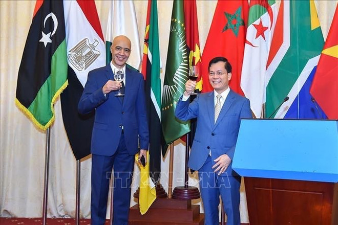 Célébration de la Journée mondiale de l’Afrique à Hanoï ảnh 1