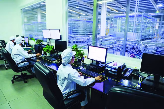 Les technologies de l’information figurent parmi les métiers les plus recherchés au Vietnam ảnh 1