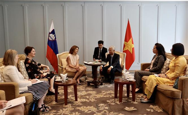 Ho Chi Minh-Ville souhaite coopérer avec la Slovénie dans divers domaines ảnh 2 Ho Chi Minh-Ville souhaite coopérer avec la Slovénie dans divers domaines ảnh 2