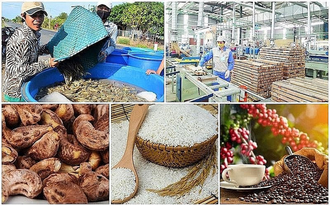 Diminution des exportations de produits agricoles, sylvicoles et aquatiques en cinq mois ảnh 1 Diminution des exportations de produits agricoles, sylvicoles et aquatiques en cinq mois ảnh 1