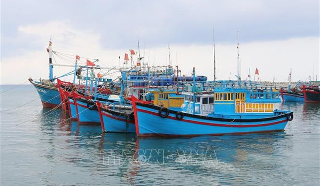 Efforts communs pour lutter contre la pêche INN ảnh 1 Efforts communs pour lutter contre la pêche INN ảnh 1