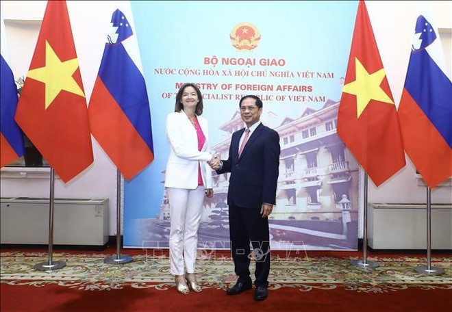 Le Vietnam attache une grande importance à la coopération multiforme avec la Slovénie ảnh 1 Le Vietnam attache une grande importance à la coopération multiforme avec la Slovénie ảnh 1
