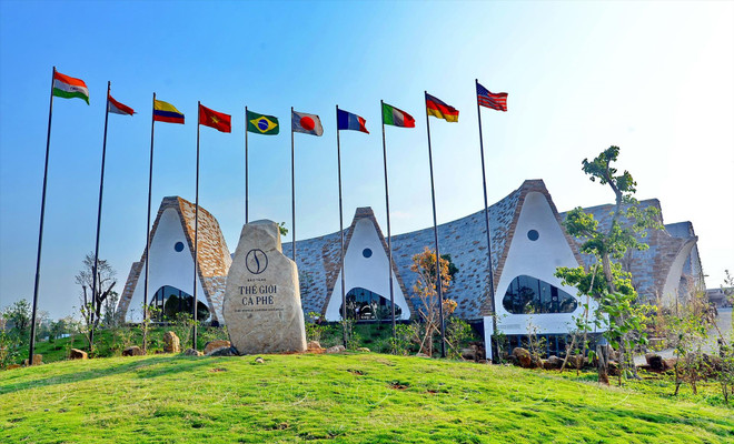 Buôn Mê Thuôt, capitale mondiale du café Robusta ảnh 3 Buôn Mê Thuôt, capitale mondiale du café Robusta ảnh 3
