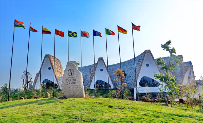 Buôn Mê Thuôt, capitale mondiale du café Robusta ảnh 3