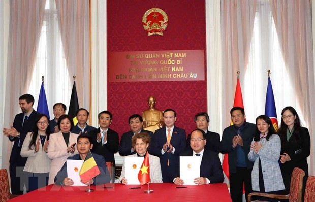 La Belgique prête à s'associer au Vietnam dans l'innovation ảnh 2