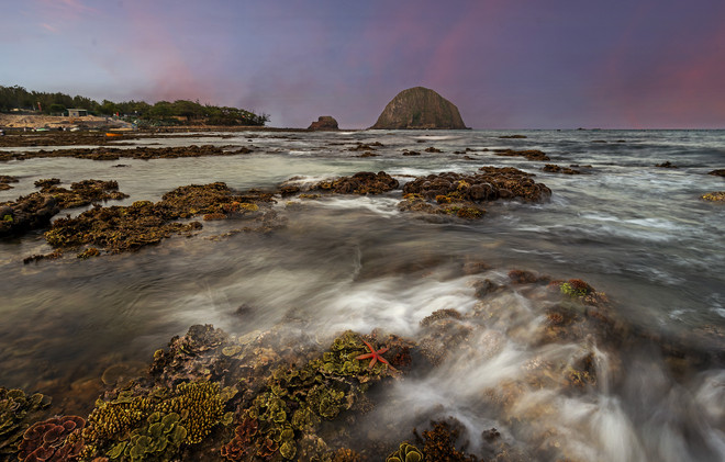 De magnifiques récifs de coraux sur la côte méridionale du Centre ảnh 2 De magnifiques récifs de coraux sur la côte méridionale du Centre ảnh 2