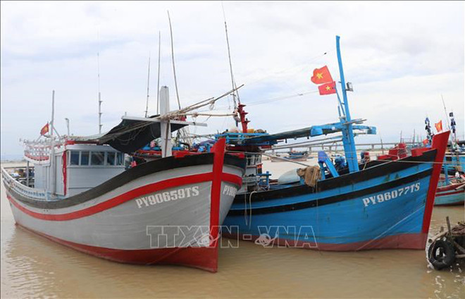 Pêche INN: Ba Ria-Vung Tau s'efforce de supprimer le "carton jaune" de la CE ảnh 1 Pêche INN: Ba Ria-Vung Tau s'efforce de supprimer le "carton jaune" de la CE ảnh 1