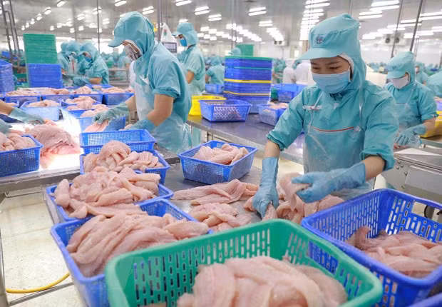 Les exportations de produits aquatiques en dix mois dépassent l'objectif annuel ảnh 1