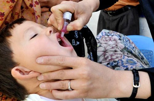 Le Vietnam inclura la vaccination antirotavirus dans son programme de vaccination élargi ảnh 1 Le Vietnam inclura la vaccination antirotavirus dans son programme de vaccination élargi ảnh 1