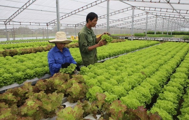 De belles perspectives des relations économiques Vietnam-Maroc ảnh 2 De belles perspectives des relations économiques Vietnam-Maroc ảnh 2