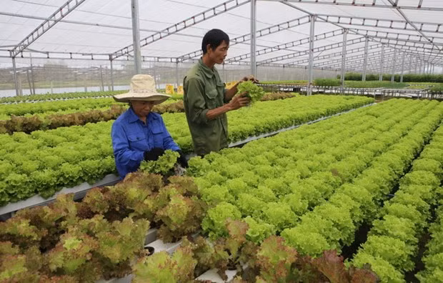 De belles perspectives des relations économiques Vietnam-Maroc ảnh 2