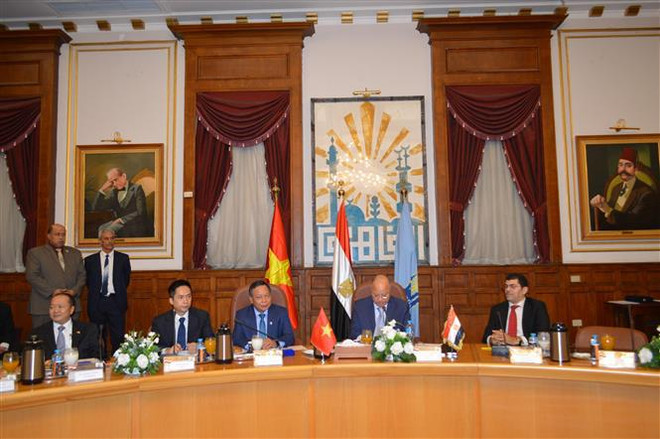 Promouvoir une coopération intégrale entre Hanoï et le Caire ảnh 1 Promouvoir une coopération intégrale entre Hanoï et le Caire ảnh 1