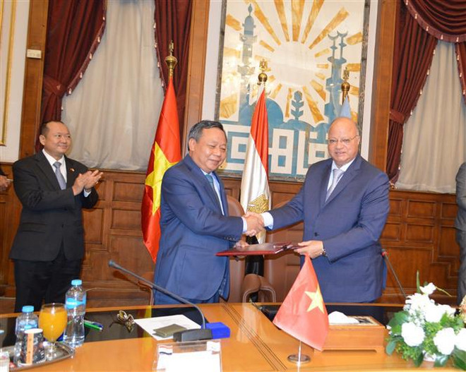 Promouvoir une coopération intégrale entre Hanoï et le Caire ảnh 2 Promouvoir une coopération intégrale entre Hanoï et le Caire ảnh 2