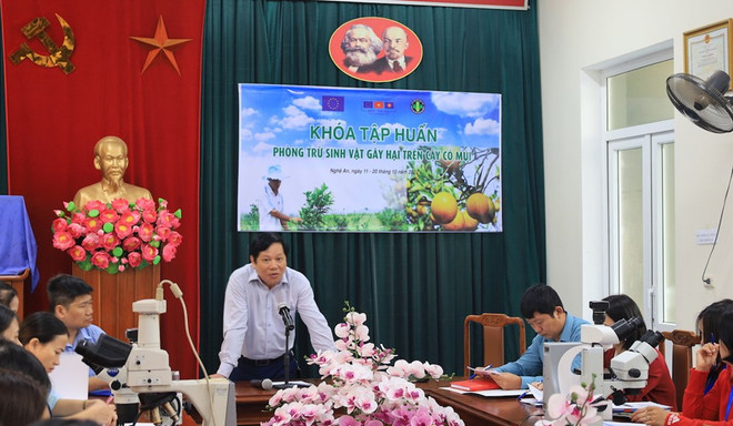 L'UE aide le Vietnam à renforcer la sécurité sanitaire de ses produits agricoles exportés ảnh 1 L'UE aide le Vietnam à renforcer la sécurité sanitaire de ses produits agricoles exportés ảnh 1