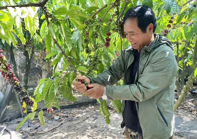 Kon Tum: quand les familles démunies accèdent à des prêts bancaires ảnh 1 Kon Tum: quand les familles démunies accèdent à des prêts bancaires ảnh 1