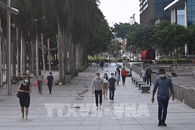  Singapour : le marché du travail continue de s'améliorer au 2e trimestre ảnh 1