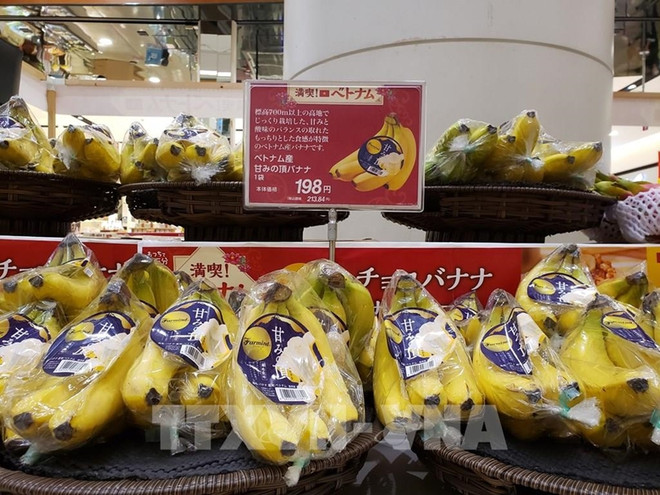 Les bananes du Vietnam de plus en plus prisées au Japon ảnh 1 Les bananes du Vietnam de plus en plus prisées au Japon ảnh 1