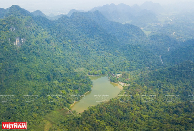 Cuc Phuong honoré pour la 4ème fois en tant que "Parc national le plus important d'Asie" ảnh 1 Cuc Phuong honoré pour la 4ème fois en tant que "Parc national le plus important d'Asie" ảnh 1