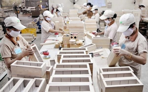 Les entreprises montrent une forte capacité à exploiter le CPTPP ảnh 2 Les entreprises montrent une forte capacité à exploiter le CPTPP ảnh 2