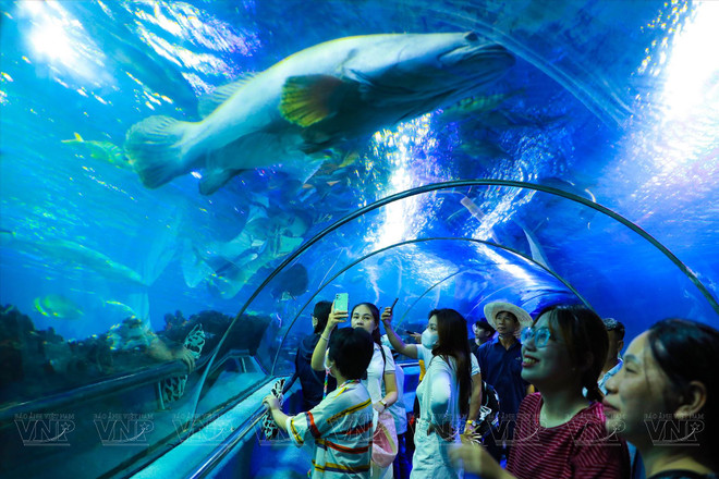 L’île Hon Tre, une destination des expériences multiples à Nha Trang ảnh 3 L’île Hon Tre, une destination des expériences multiples à Nha Trang ảnh 3