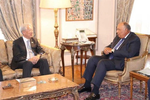 L'Egypte souhaite développer ses relations avec Singapour ảnh 1 L'Egypte souhaite développer ses relations avec Singapour ảnh 1