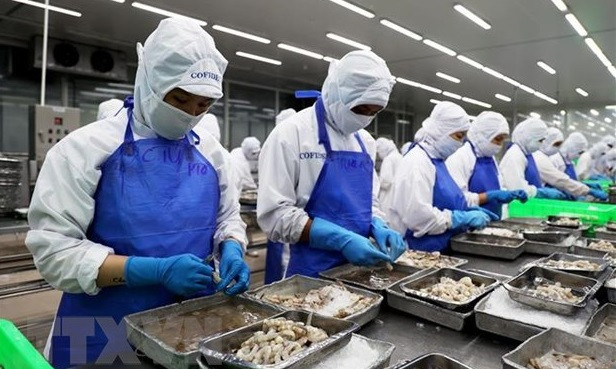 Le Vietnam oeuvre pour s’intégrer fortement au marché du travail international ảnh 2