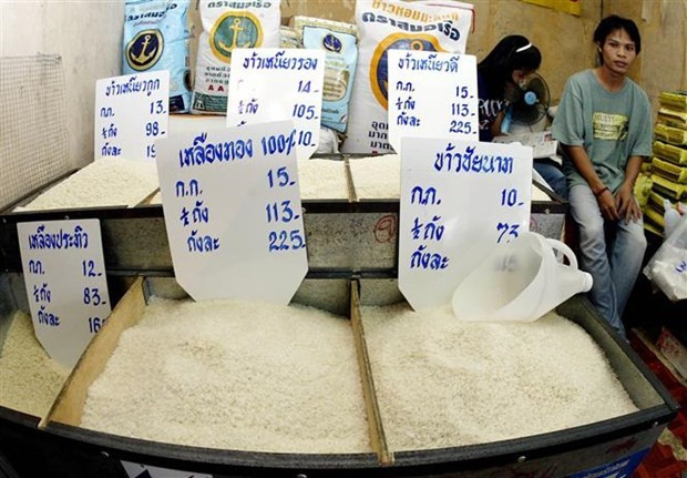 La Thaïlande vise un objectif d'exportation de riz plus élevé ảnh 1 La Thaïlande vise un objectif d'exportation de riz plus élevé ảnh 1
