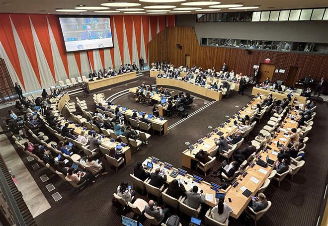 La Conférence sur la biodiversité marine adopte le texte du traité sur la haute mer ảnh 1