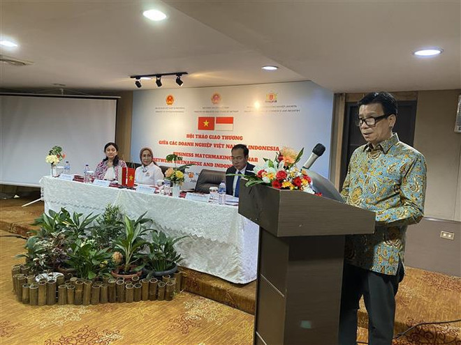 Colloque sur la promotion des échanges commerciaux Vietnam-Indonésie ảnh 1 Colloque sur la promotion des échanges commerciaux Vietnam-Indonésie ảnh 1