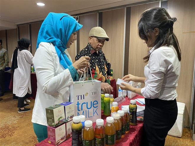 Colloque sur la promotion des échanges commerciaux Vietnam-Indonésie ảnh 2 Colloque sur la promotion des échanges commerciaux Vietnam-Indonésie ảnh 2