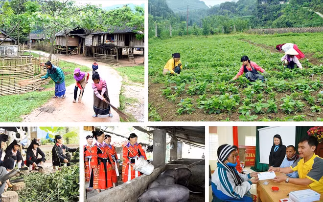 Conférence sur le Programme cible national concernant les zones peuplées d’ethnies minoritaires ảnh 1