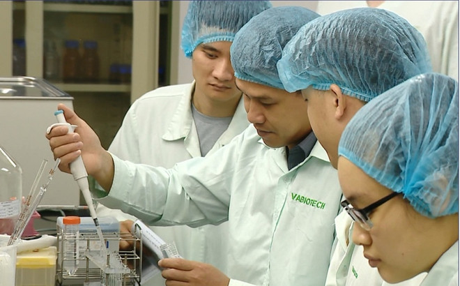Le Vietnam doit renforcer sa capacité de production de vaccins ảnh 1 Le Vietnam doit renforcer sa capacité de production de vaccins ảnh 1