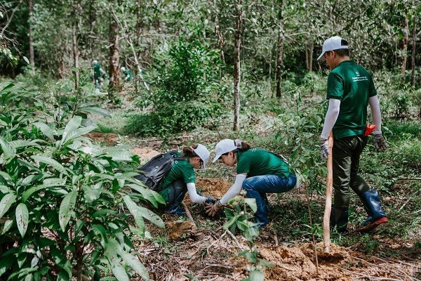 Nestlé collabore avec des partenaires pour développer l'agriculture régénérative au Vietnam ảnh 1 Nestlé collabore avec des partenaires pour développer l'agriculture régénérative au Vietnam ảnh 1