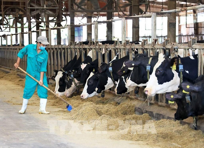 Super Nut de Vinamilk remporte le prix de la meilleure alternative au lait de vache 2023 ảnh 1 Super Nut de Vinamilk remporte le prix de la meilleure alternative au lait de vache 2023 ảnh 1