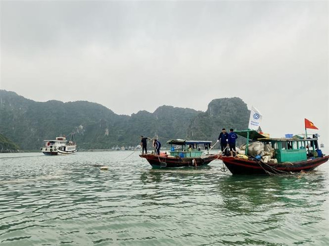 Collecte de bouées flottantes en polystyrène en baie d’Ha Long ảnh 1 Collecte de bouées flottantes en polystyrène en baie d’Ha Long ảnh 1