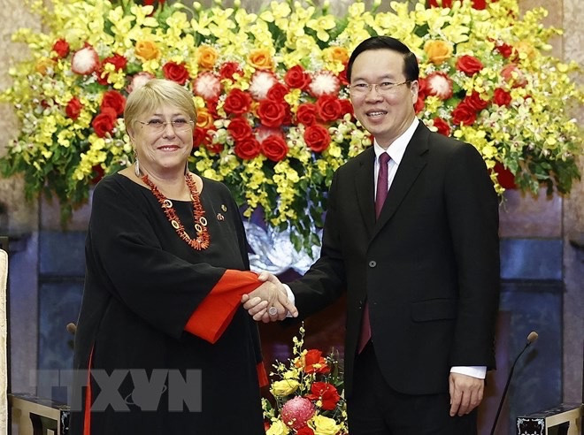 Le président Vo Van Thuong reçoit l'anciennne présidente du Chili ảnh 2 Le président Vo Van Thuong reçoit l'anciennne présidente du Chili ảnh 2