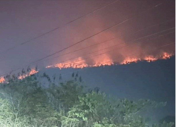 Les incendies de forêt et la pollution de l'air atteignent un niveau de danger au Laos ảnh 1 Les incendies de forêt et la pollution de l'air atteignent un niveau de danger au Laos ảnh 1