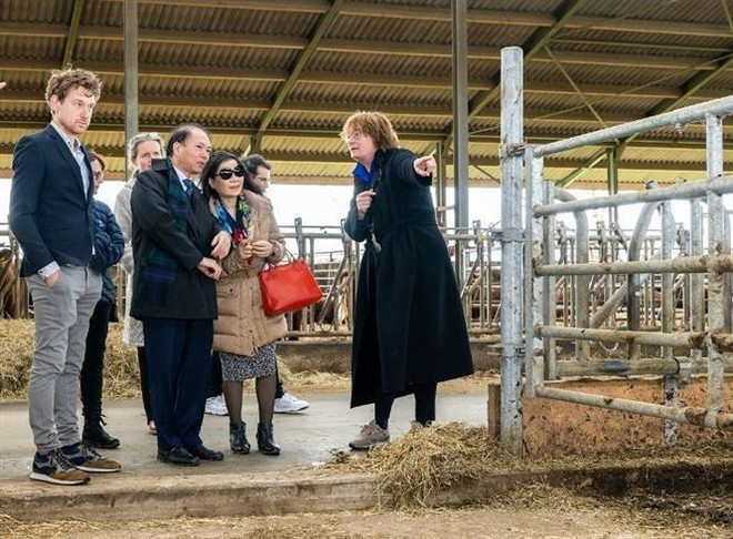 Le Brabant-Septentrional (Pays-Bas) souhaite promouvoir la coopération avec les localités du Vietnam ảnh 1 Le Brabant-Septentrional (Pays-Bas) souhaite promouvoir la coopération avec les localités du Vietnam ảnh 1