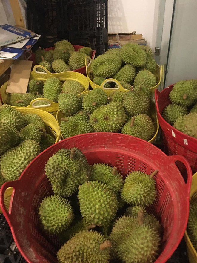 Le durian plus que jamais recherché par le marché chinois ảnh 1 Le durian plus que jamais recherché par le marché chinois ảnh 1