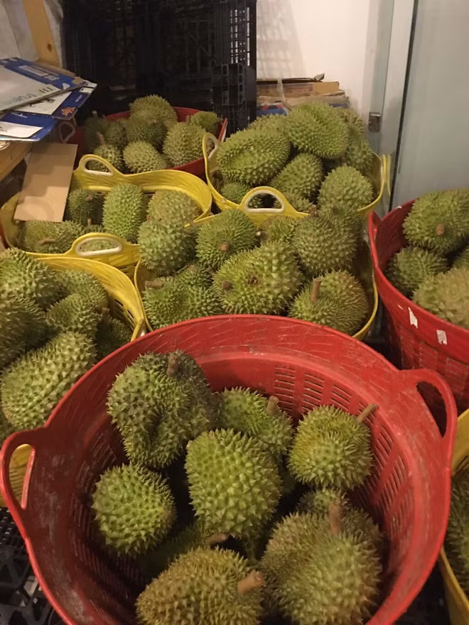 Le durian plus que jamais recherché par le marché chinois ảnh 1