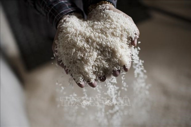 L'Indonésie pourrait importer 500.000 tonnes de riz supplémentaires en 2023 ảnh 1 L'Indonésie pourrait importer 500.000 tonnes de riz supplémentaires en 2023 ảnh 1