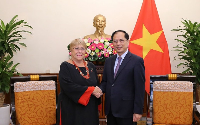 Le ministre des AE Bui Thanh Son reçoit l'ancienne présidente chilienne Michelle Bachelet Jeria ảnh 1 Le ministre des AE Bui Thanh Son reçoit l'ancienne présidente chilienne Michelle Bachelet Jeria ảnh 1