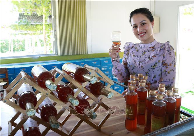 Le festival du raisin et du vin de Ninh Thuan prévu en juin prochain ảnh 2