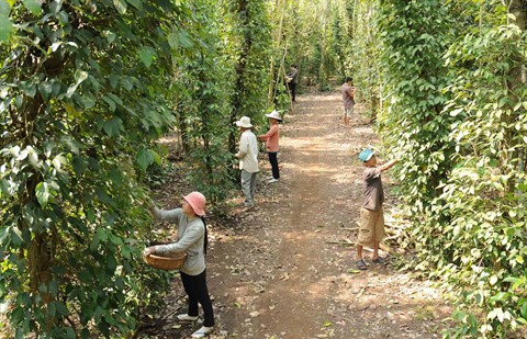 Nouvelle pratique des activités de crédit ảnh 2