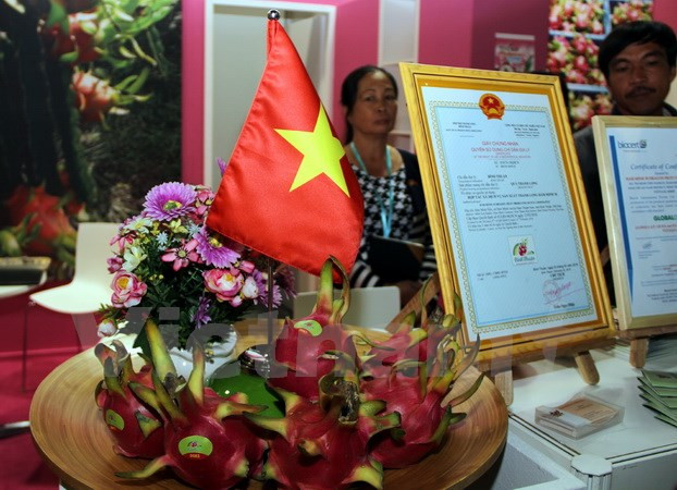 Des fruits du dragon du Vietnam présentés au Fruit Logistica 2017 à Berlin ảnh 1