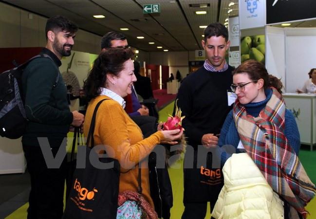 Des fruits du dragon du Vietnam présentés au Fruit Logistica 2017 à Berlin ảnh 2