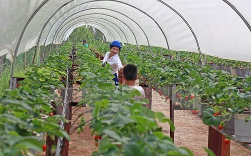 Vietnam, l’un des grands sites pour les investisseurs indiens ảnh 1 Vietnam, l’un des grands sites pour les investisseurs indiens ảnh 1
