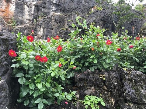 Sa Pa, un vrai paradis montagnard ảnh 3 Sa Pa, un vrai paradis montagnard ảnh 3